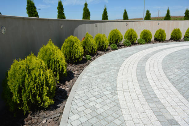 Best Decorative Driveway Pavers  in Wildwood, MO